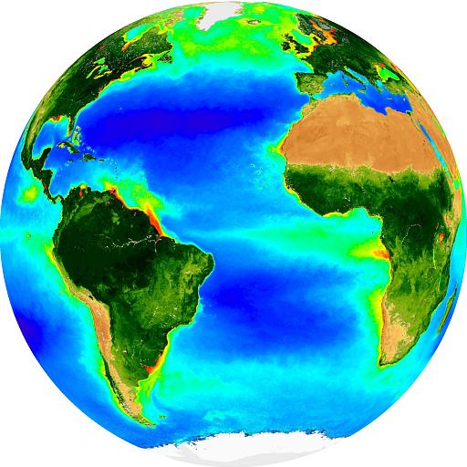 Atlantic SeaWifs BorealSummer